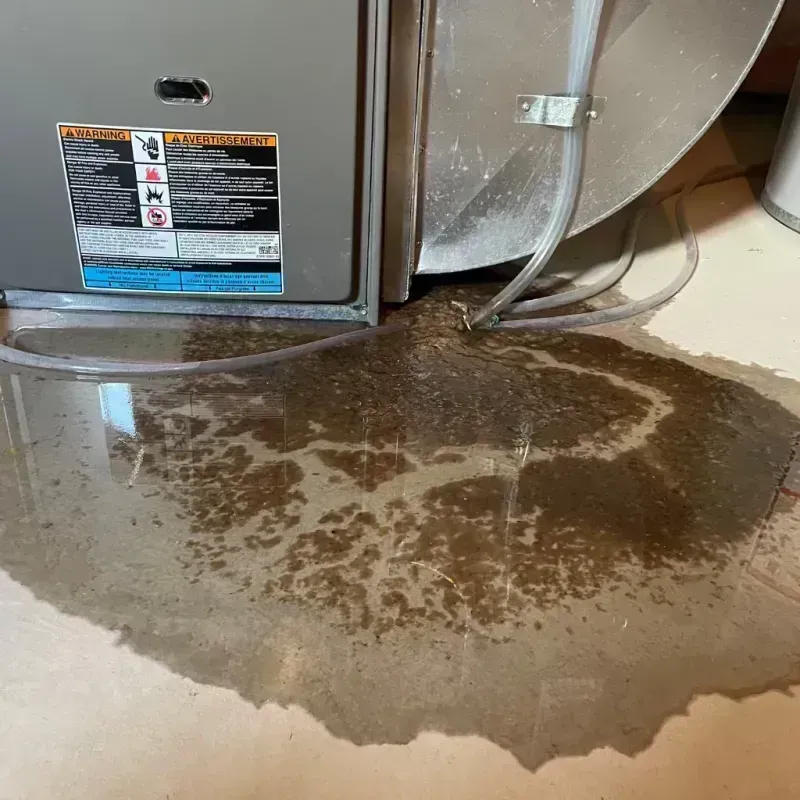 Appliance Leak Cleanup in Gaylord, MN